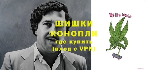 дурь Алзамай