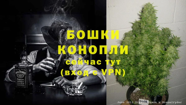 дурь Алзамай