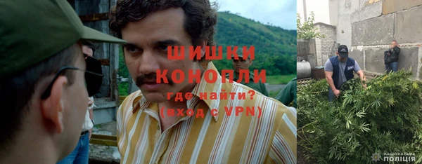 дурь Алзамай